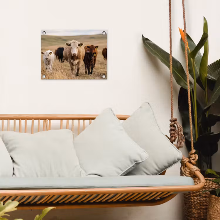 Runderen - Kudde - Landschap - Weide - Rustig tuinposter los doek klein -sfeer7