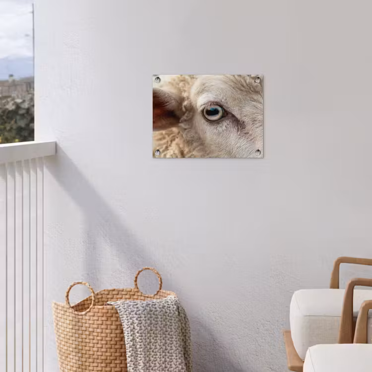 Schaap - Oog - Wit tuinposter los doek klein -sfeer8