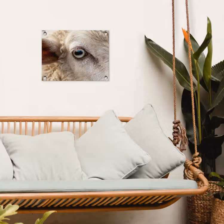 Schaap - Oog - Wit tuinposter los doek klein -sfeer7