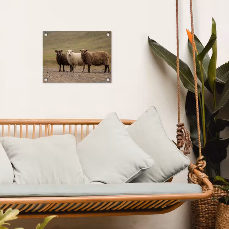 Schapen - Bruin - Wit - Grindpad tuinposter los doek klein -sfeer7