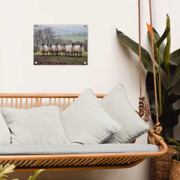 Schapen - Rij - Weide - Dieren - Platteland tuinposter los doek klein -sfeer7