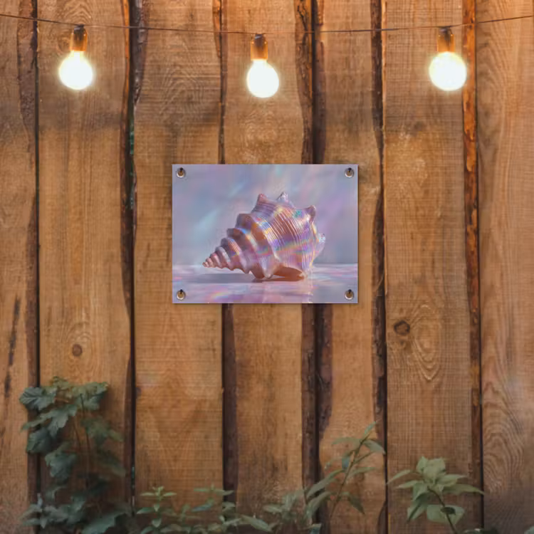 Schelp - Glanzend - Regenboogtinten tuinposter los doek klein -sfeer1