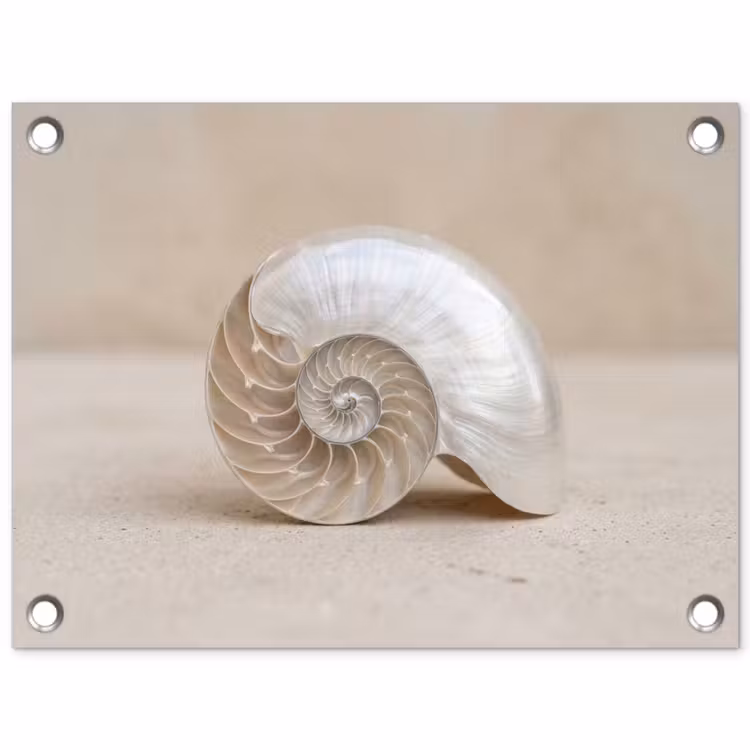 Schelp - Spiraal - Beige tuinposter los doek klein -3d