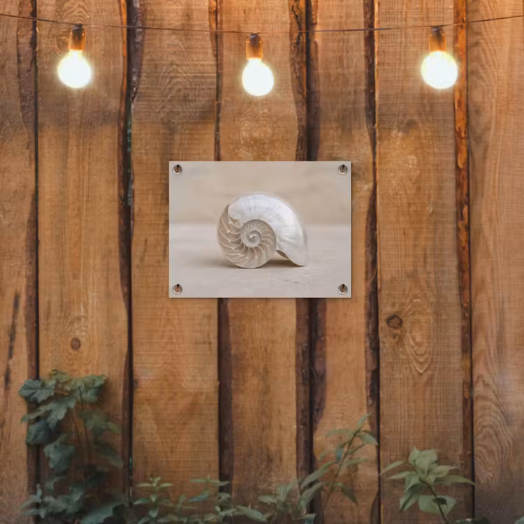 Schelp - Spiraal - Beige tuinposter los doek klein -sfeer1