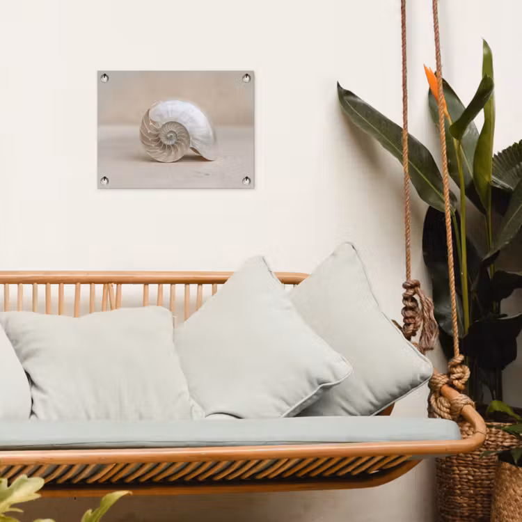 Schelp - Spiraal - Beige tuinposter los doek klein -sfeer7
