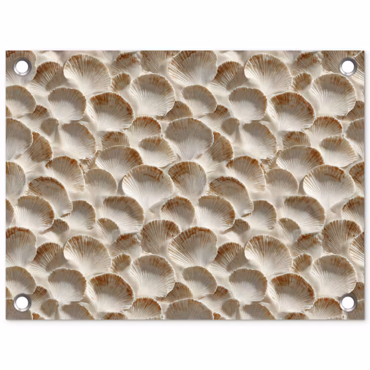 Schelpen - Waaiervorm - Wit tuinposter los doek klein 239 -3d