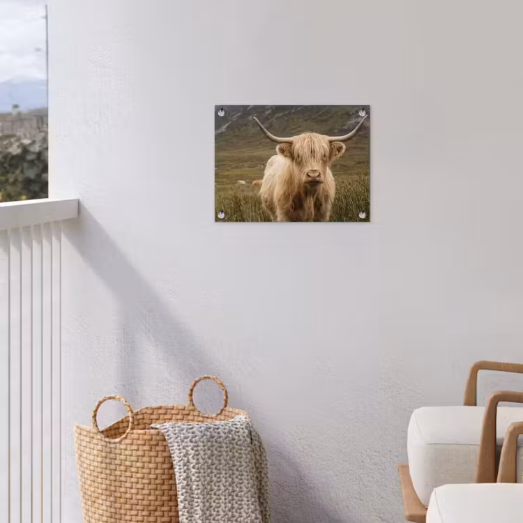 Schotse hooglander - Bergen - Grasveld tuinposter los doek klein -sfeer8