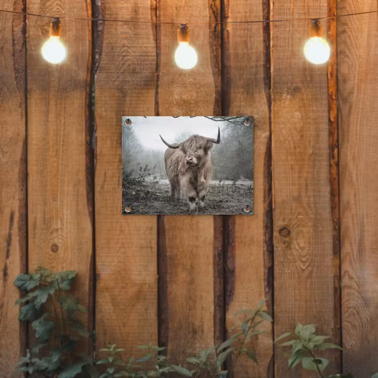 Schotse Hooglander - Bos - Mist - Koe - Dieren - Natuur tuinposter los doek klein -sfeer1