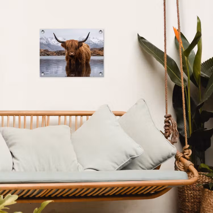 Schotse hooglander - Bruin - Water tuinposter los doek klein -sfeer7