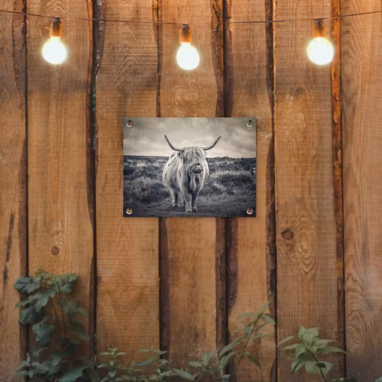 Schotse hooglander - Dieren - Wolken - Koe - Natuur tuinposter los doek klein -sfeer1