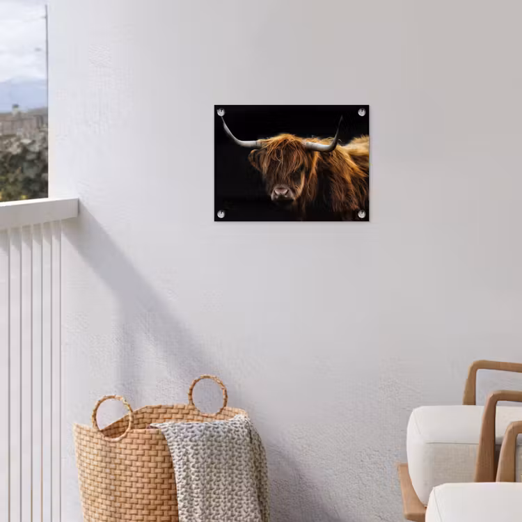Schotse Hooglander - Horens - Zwart - Dieren - Natuur - Wild - Koe tuinposter los doek klein -sfeer8