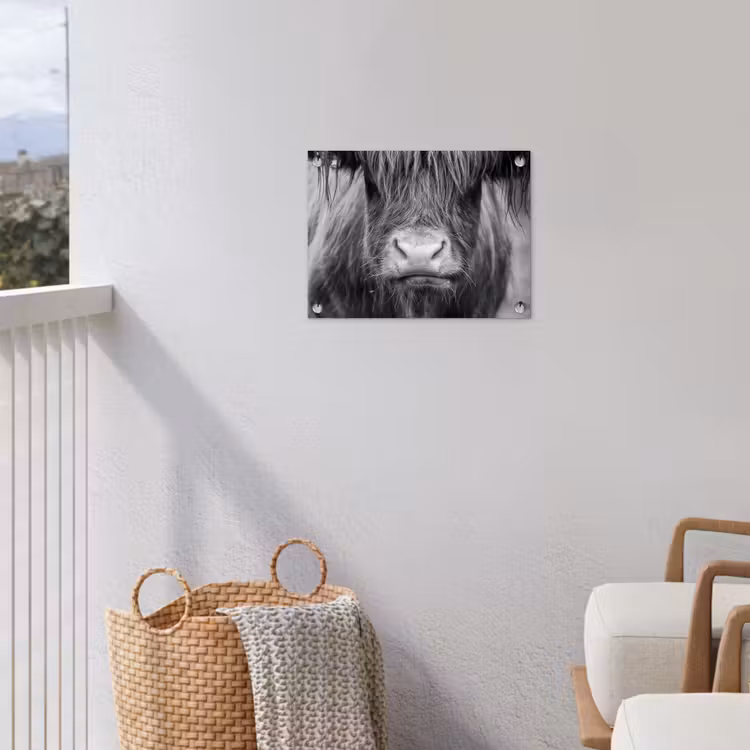 Schotse hooglander - Koe - Zwart - Wit - Dieren tuinposter los doek klein -sfeer8