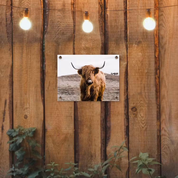 Schotse hooglander - Landschap - Koe - Bruin - Dieren - Natuur tuinposter los doek klein -sfeer1