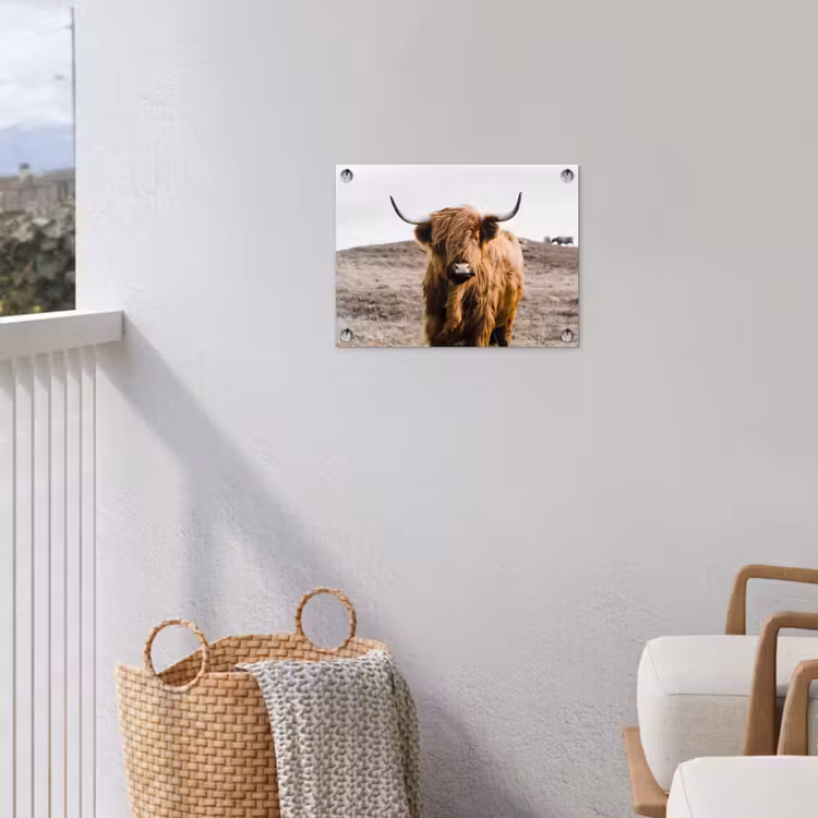 Schotse hooglander - Landschap - Koe - Bruin - Dieren - Natuur tuinposter los doek klein -sfeer8