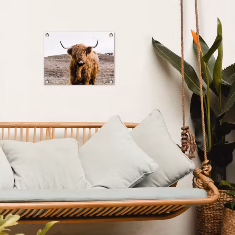 Schotse hooglander - Landschap - Koe - Bruin - Dieren - Natuur tuinposter los doek klein -sfeer7