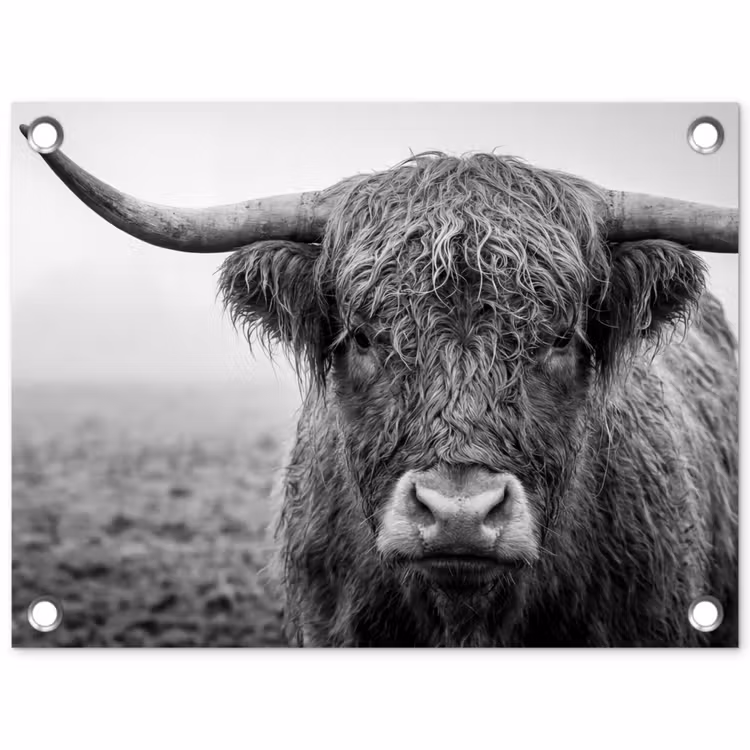 Schotse hooglander - Zwart - Wit - Gras tuinposter los doek klein -3d