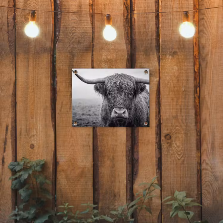 Schotse hooglander - Zwart - Wit - Gras tuinposter los doek klein -sfeer1