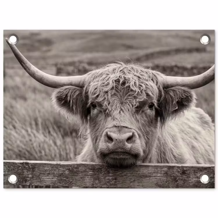 Schotse hooglander - Zwart - Wit - Hout tuinposter los doek klein -3d