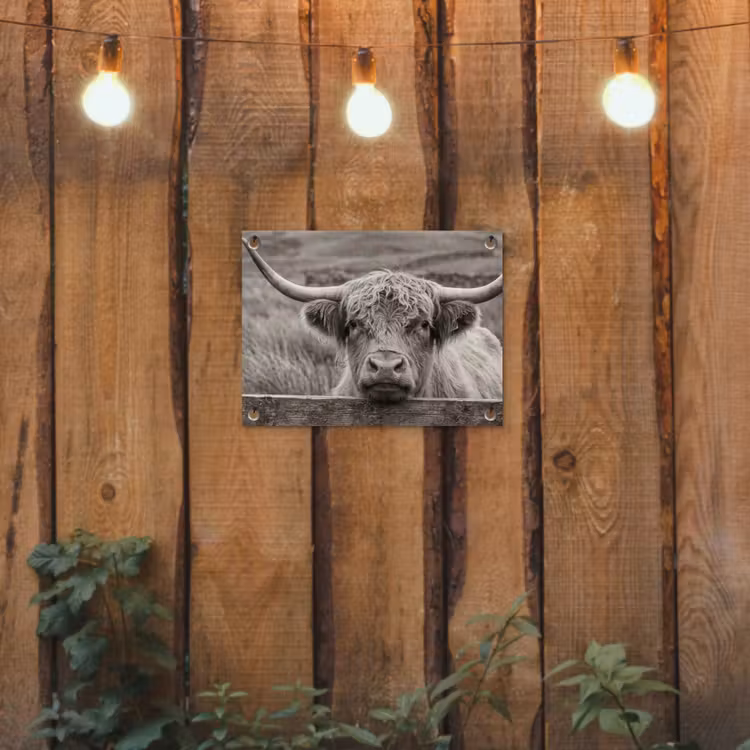 Schotse hooglander - Zwart - Wit - Hout tuinposter los doek klein -sfeer1