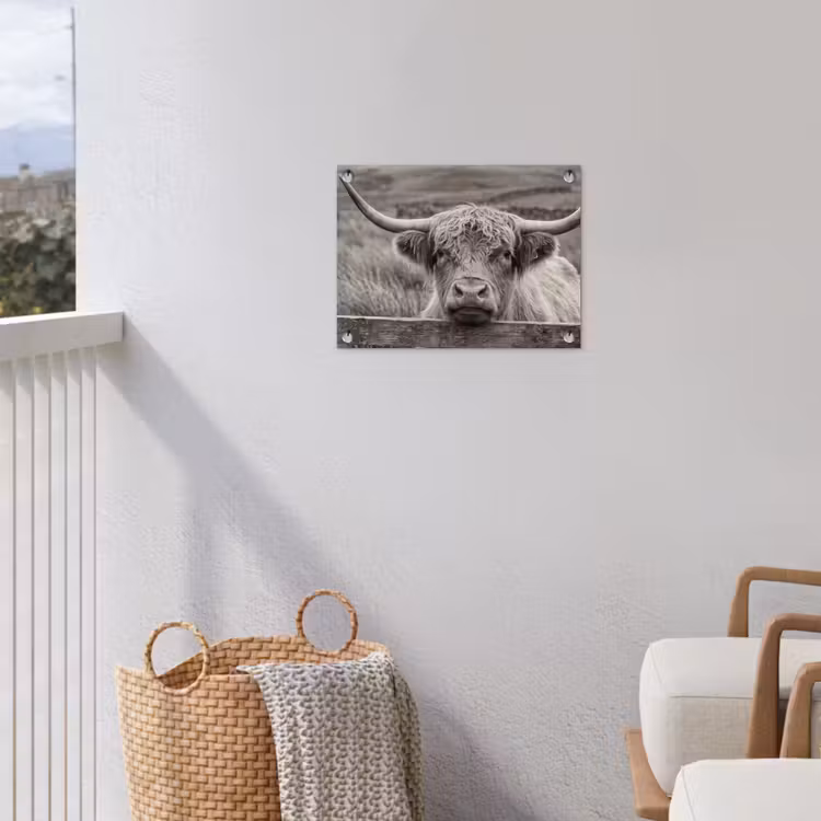 Schotse hooglander - Zwart - Wit - Hout tuinposter los doek klein -sfeer8