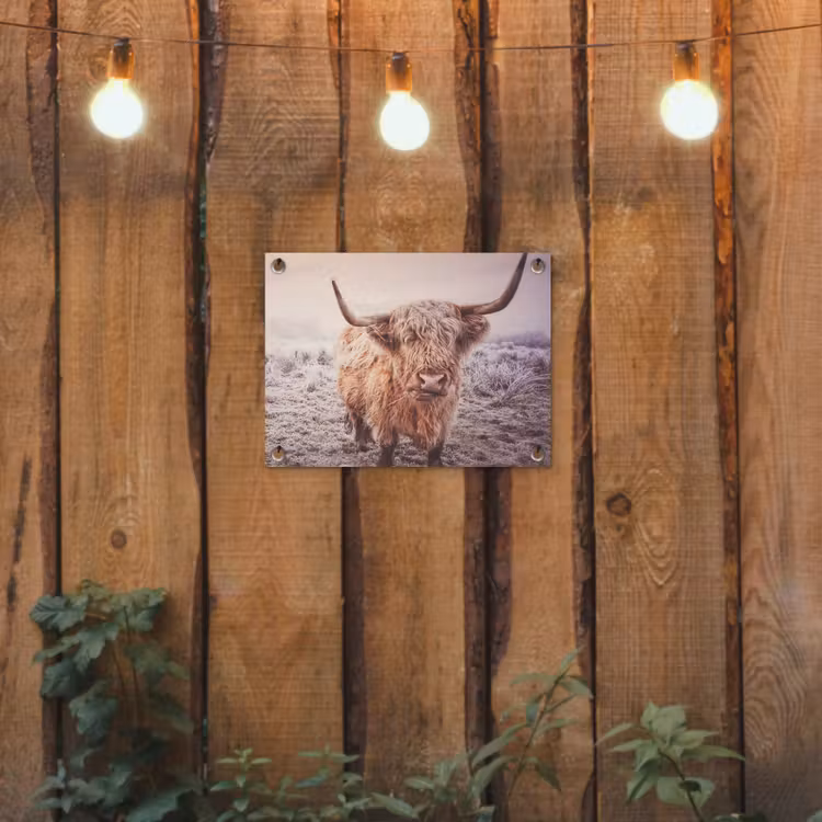 Schotse hooglanders - Licht - Lucht - Natuur tuinposter los doek klein -sfeer1