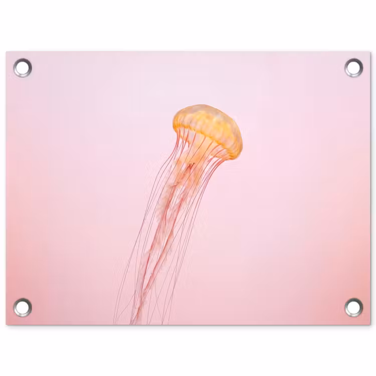 Sierlijk - Kwal - Roze tuinposter los doek klein -3d
