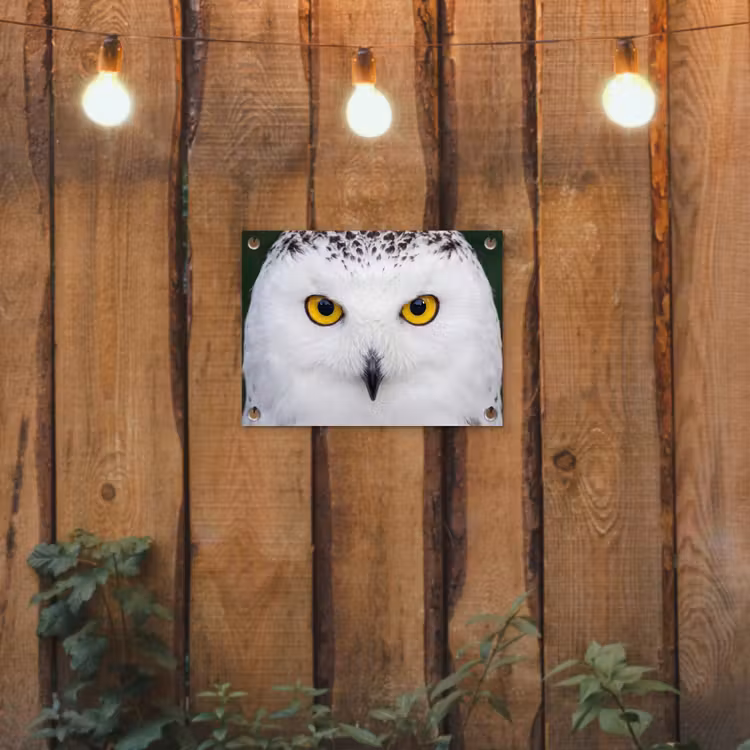 Sneeuwuil - Portret - Geel tuinposter los doek klein -sfeer1