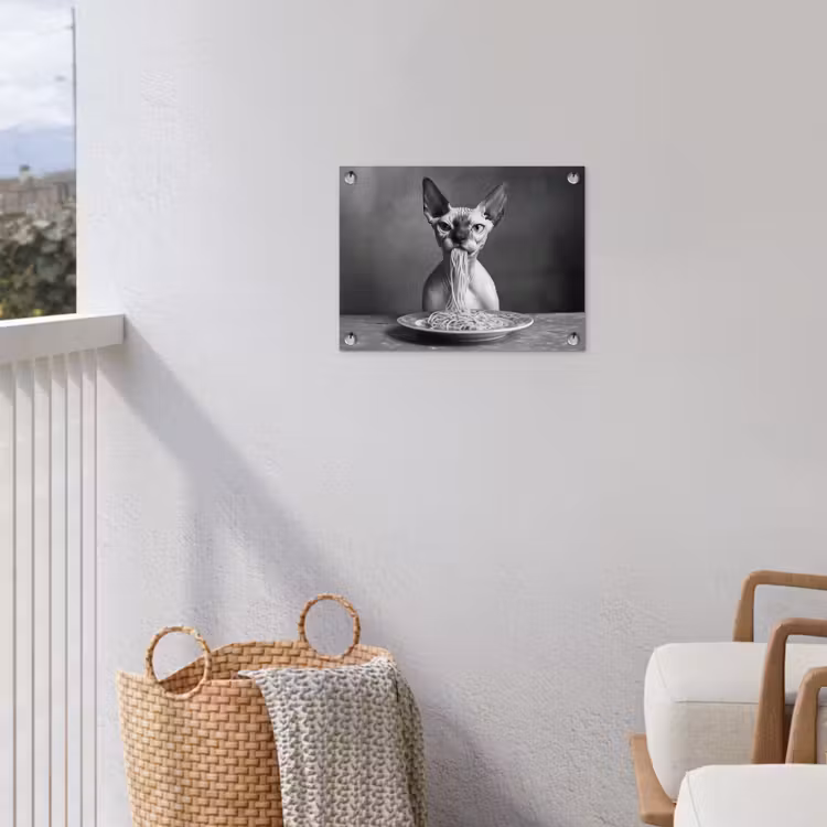 Sphynx - Kat - Dieren - Humor - Spaghetti - Zwart Wit tuinposter los doek klein -sfeer8