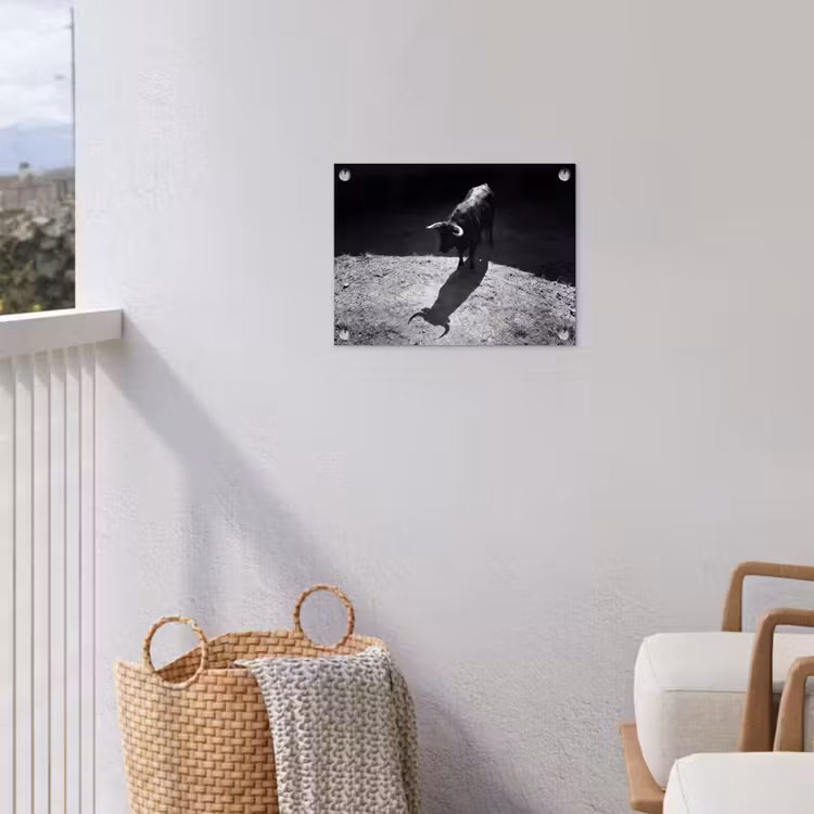 Stier - Schaduw - Dieren - Contrast - Zwart-wit tuinposter los doek klein -sfeer8