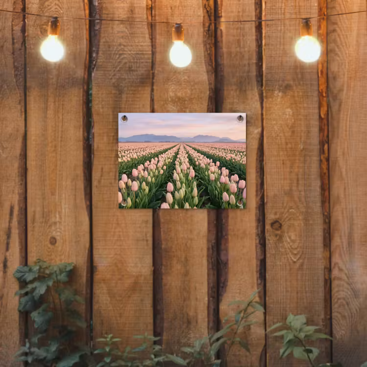 Tulpen - Landschap - Roze tuinposter los doek klein -sfeer1