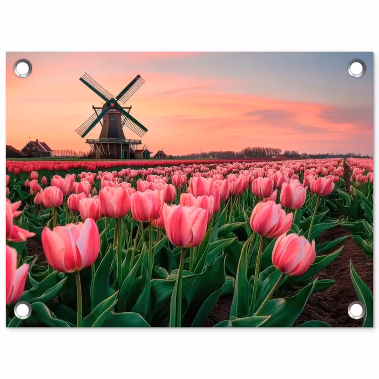 Tulpen - Molen - Nederland tuinposter los doek klein -3d