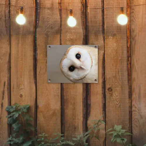 Uil - Bruin - Wit tuinposter los doek klein -sfeer1