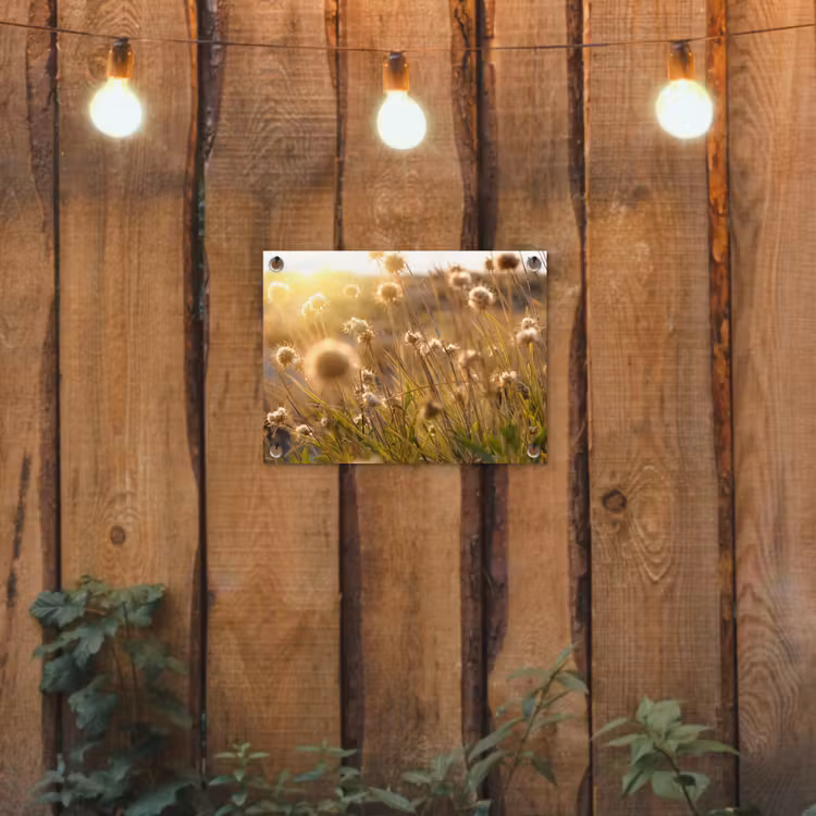 Verlichte zaadhoofden in de avondzon tuinposter los doek klein -sfeer1