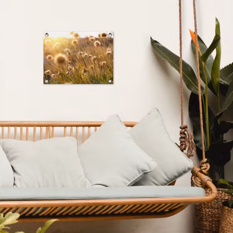 Verlichte zaadhoofden in de avondzon tuinposter los doek klein -sfeer7