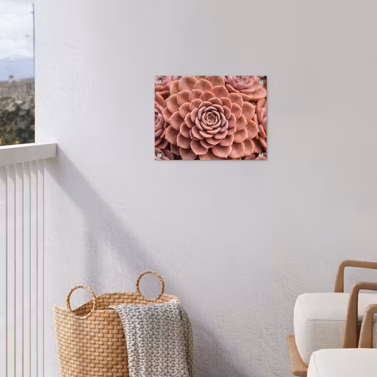 Vetplant - Organisch - Roze tuinposter los doek klein -sfeer8