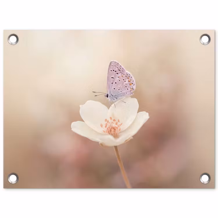 Vlinder - Bloem - Blauw tuinposter los doek klein -3d