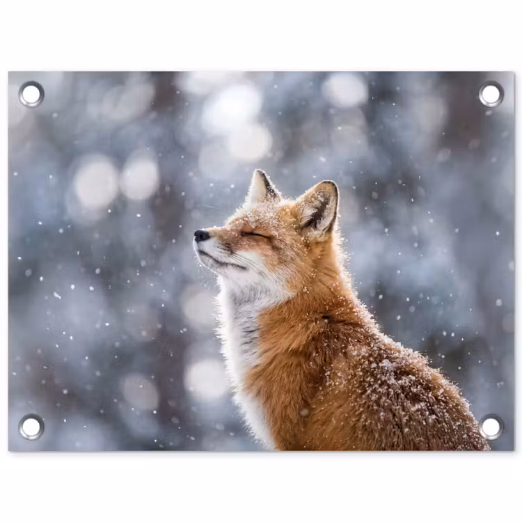 Vos - Sneeuwval - Portret - Winter - Sfeervol tuinposter los doek klein -3d