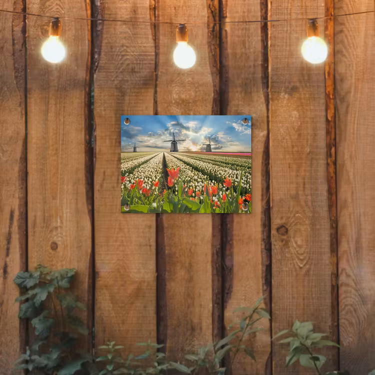 Windmolens en tulpenvelden bij zonsopgang tuinposter los doek klein -sfeer1