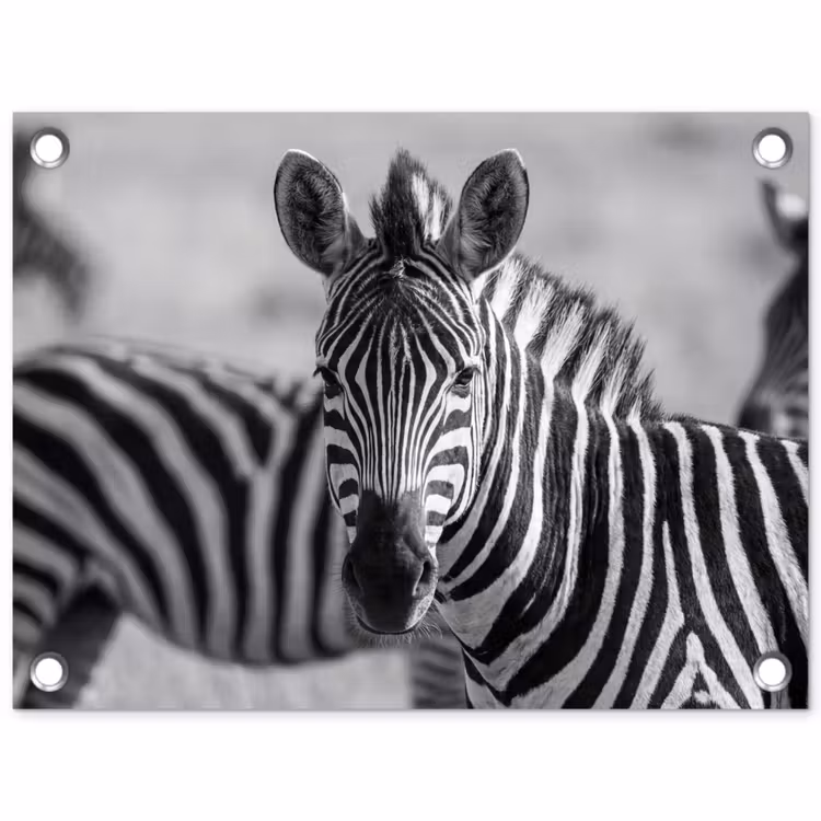 Zebra's - Zwart - Wit tuinposter los doek klein -3d