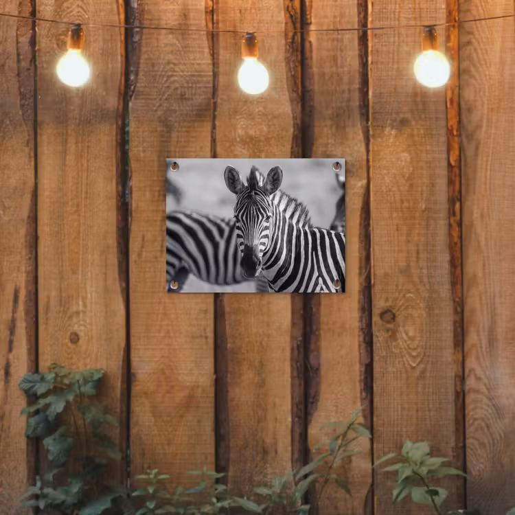 Zebra's - Zwart - Wit tuinposter los doek klein -sfeer1
