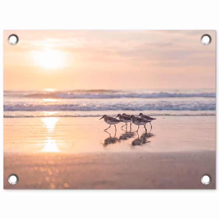 Zee - Vogels - Strand tuinposter los doek klein -3d