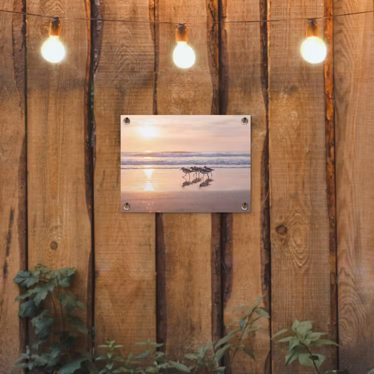 Zee - Vogels - Strand tuinposter los doek klein -sfeer1