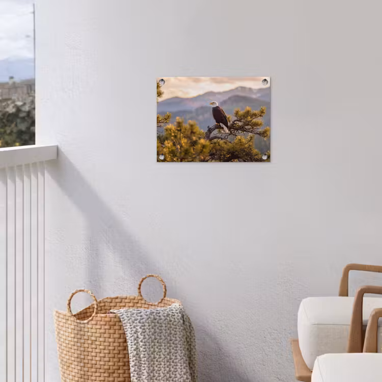 Zeearend - Boom - Bergen - Groen tuinposter los doek klein -sfeer8