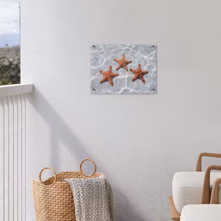 Zeesterren - Water - Helder tuinposter los doek klein -sfeer8