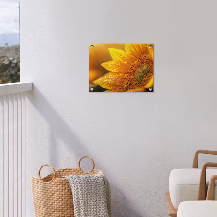 Zonnebloem - Dauwdruppels - Geel - Zonlicht tuinposter los doek klein -sfeer8