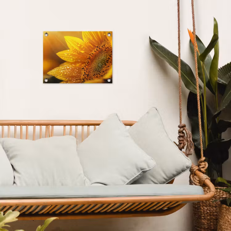 Zonnebloem - Dauwdruppels - Geel - Zonlicht tuinposter los doek klein -sfeer7