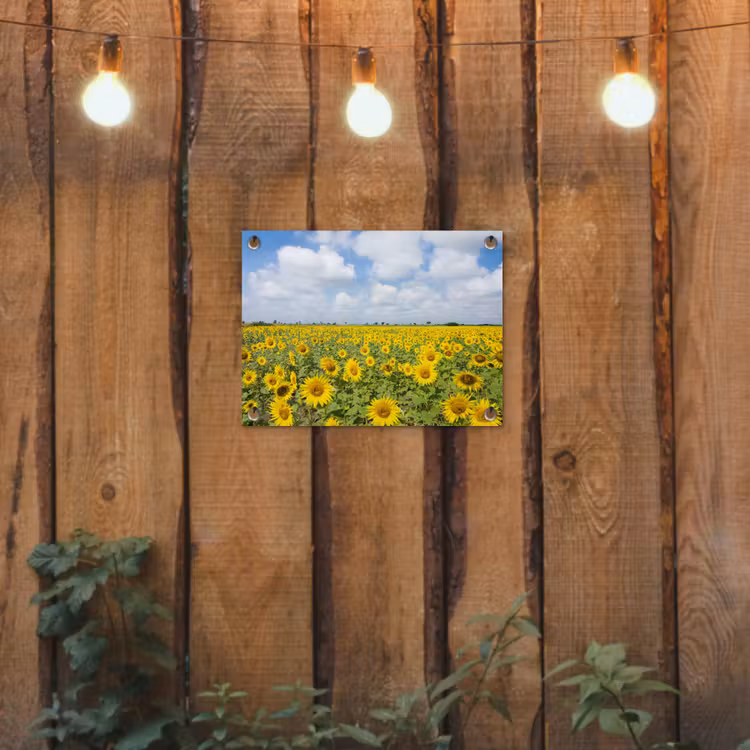 Zonnebloemen - Bloemen - Wolken - Natuur - Geel - Landschap tuinposter los doek klein -sfeer1