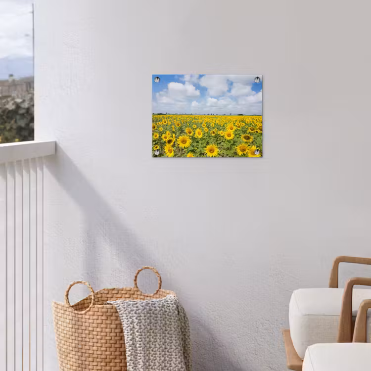 Zonnebloemen - Bloemen - Wolken - Natuur - Geel - Landschap tuinposter los doek klein -sfeer8