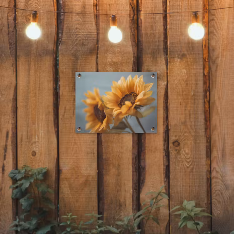 Zonnebloemen - Geel - Wazig tuinposter los doek klein -sfeer1
