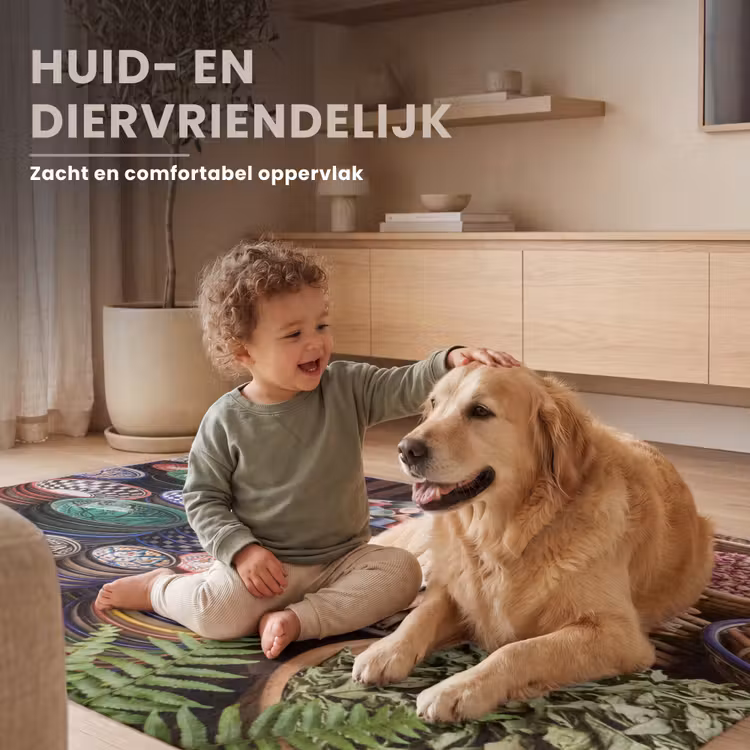 Vloerkleed - Aardewerk - Oosters - Kleurrijk - Aardewerk - Oosters - Kleurrijk Vloerkleed Rechthoek klein